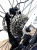 f9a419e43bfc56be65b6b7ab427ac563.jpg